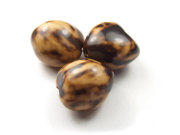 Perlen, Palmholzsamen, 20 mm, nuss