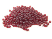 Perlen, Serie Shakti M, 4 mm, matt, granatrot